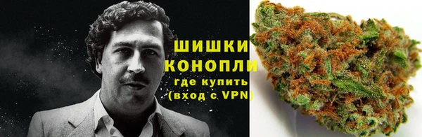 молекула духа Рославль